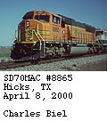 [BNSF 8865]