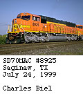 [BNSF 8925]